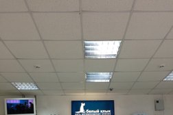 Ветеринарная клиника Белый Клык, с рейтингом 2.9 - находится по адресу Москва, Митинская улица, 55к1 