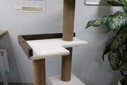 Ветеринарная клиника Неболит, с рейтингом 3.1 - находится по адресу Пермь, улица Василия Каменского, 24 