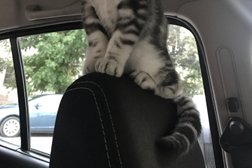 Супермаркет Пятёрочка, с рейтингом 3.3 - находится по адресу Владимир, улица Полины Осипенко, 14/43 