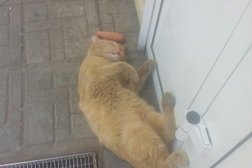 Постамат 5post, с рейтингом 3 - находится по адресу Нижний Новгород, улица Сазанова, 2 