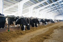 Компания Мр-сервис, с рейтингом  - находится по адресу Брянская область, 243020, Комсомольская улица, 17 