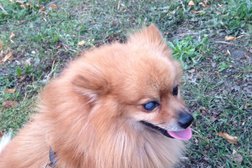 Библиотека в Рассказово, с рейтингом 5 - находится по адресу Тамбовская область, Рассказово, улица Пушкина, 12 