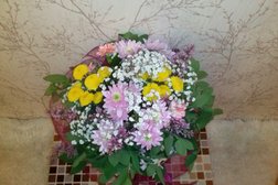 Цветочный салон Фиалка, с рейтингом 4.5 - находится по адресу Иваново, Палехская улица, 14 