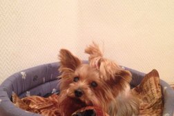 Отель Дворянское Гнездо, с рейтингом 2 - находится по адресу Республика Карелия, Сегежа, улица Ленина, 3 