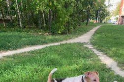 Зоосалон MasterGroom, с рейтингом 4.1 - находится по адресу Санкт-Петербург, проспект Юрия Гагарина, 14 к6 