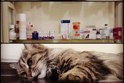 Уфимская городская ветеринарная станция республики Башкортостан, с рейтингом 3.1 - находится по адресу Республика Башкортостан, Уфа, проспект Октября, 184 