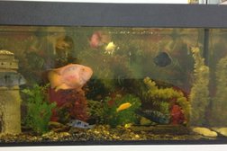 Компас, с рейтингом 4.4 - находится по адресу Курган, проспект Машиностроителей, 1 