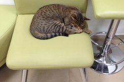 Банкомат СберБанк, с рейтингом 5 - находится по адресу Московская область, Химки, Железнодорожная улица, 21 ст1 