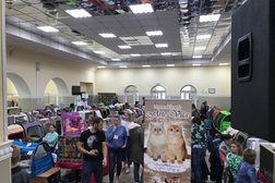 Дворец культуры железнодорожников, с рейтингом 3.5 - находится по адресу Владивосток, Партизанский проспект, 62а 