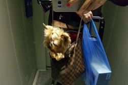 Деловой центр Кристалл, с рейтингом 4.7 - находится по адресу Санкт-Петербург, улица Седова, 37 