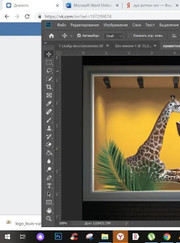 Полиграфист, выгульщик собак Ирина Алексеевна Еремина