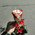фотография Duty free flowers