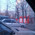 фотография Дикси