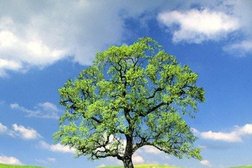 Компания по производству жалюзи и автоматических ворот Рим, с рейтингом 4 - находится по адресу Самара, Пионерская улица, 100 