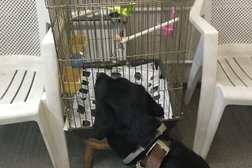 Ветеринарная клиника Унивет, с рейтингом 3.1 - находится по адресу Московская область, Балашиха, Трубецкая улица, 69 