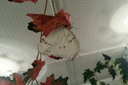 Городской музей, с рейтингом 4 - находится по адресу Республика Карелия, Костомукша, улица Антикайнена, 13 