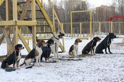 Кинологический клуб Викинг, с рейтингом 3 - находится по адресу Москва, улица Удальцова, вл48 
