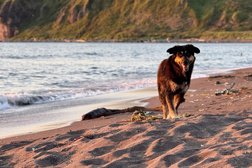 Заречная, с рейтингом 4 - находится по адресу Сахалинская область, Курильск, Заречная улица, 1д 