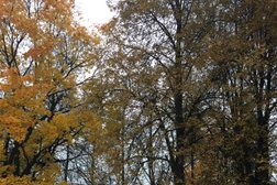 Центральный парк культуры и отдыха, с рейтингом 4.6 - находится по адресу Владимир, улица Мира, 36а 