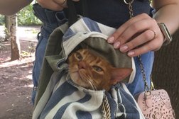 Станция по борьбе с болезнями животных СЗАО