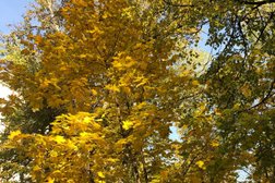 Отделение по г. Москве и Московской области Межрегиональный информационный центр Пенсионного фонда РФ, с рейтингом 2.3 - находится по адресу Москва, Стасовой, 14 к2 