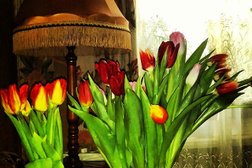 Щёлковский городской суд, с рейтингом 1.6 - находится по адресу Московская область, Щёлково, площадь Ленина, 5 