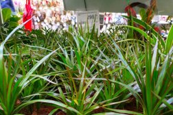 Гипермаркет строительных материалов Лемана Про, с рейтингом 3.8 - находится по адресу Ростов-на-Дону, улица Доватора, 158 