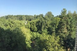 Управляющая компания ТСН Холмы, с рейтингом 1.2 - находится по адресу Московская область, Видное, Олимпийская улица, 1 к1 