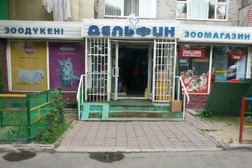 Дельфин