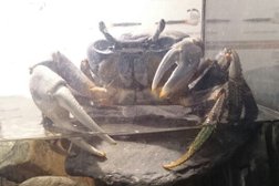 Садовый центр Зеленый остров, с рейтингом 3.7 - находится по адресу Магнитогорск, Советская улица, 79 