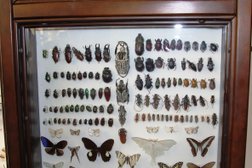 Краеведческий музей, с рейтингом 3.5 - находится по адресу Красноярск, улица Дубровинского, 84 