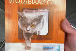 Автоматизированный пункт выдачи Ozon box, с рейтингом 3.7 - находится по адресу Санкт-Петербург, Кондратьевский проспект, 68 к4 ст1 