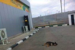 Автозаправка Роснефть, с рейтингом 3 - находится по адресу Ставропольский край, Новоалександровск, улица Ленина, 1 