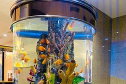 Гостиничный комплекс Байкал-Северное море, с рейтингом 2.5 - находится по адресу Иркутск, Дальневосточная улица, 156 