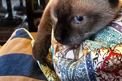 Секонд-хенд, с рейтингом 1 - находится по адресу Шымкент, Тауке Хана проспект, 33 