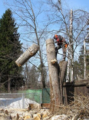 Мастер по строительству домов, бетонщик Алсу Ушиярова