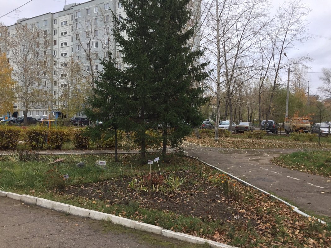 фотография Прогимназии №360