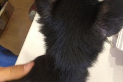 Салон связи МТС, с рейтингом 4 - находится по адресу Республика Башкортостан, Стерлитамак, Вокзальная улица, 19 ст1 