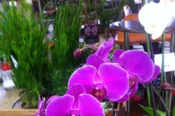 Цветочный салон Сакура, с рейтингом 4.9 - находится по адресу Камчатский край, Елизово, Виталия Кручины, 13Б 