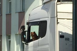 Зоомагазин Бетховен, с рейтингом 5 - находится по адресу Московская область, Мытищи, Коммунистическая улица, 10 к1 