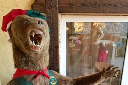 Гостинично-ресторанный комплекс Домик лесника, с рейтингом 3.9 - находится по адресу Ставрополь, улица Лесовод-5, 6 