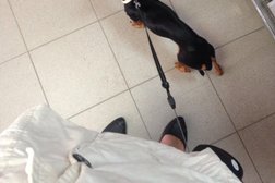 Почтомат Почта России, с рейтингом 2.3 - находится по адресу Челябинск, 40-летия Победы, 30 