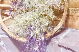 Ресторанный комплекс русской кухни Берлога, с рейтингом 2.9 - находится по адресу Ульяновск, улица Аблукова, 2 