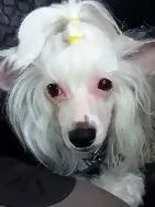 Вязальщица Светлана Сергеевна Петрова