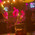 фотография The Rock bar