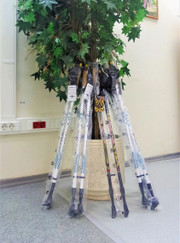 Тренер по велоспорту, тренер по ОФП Денис Дмитриевич Рыжих