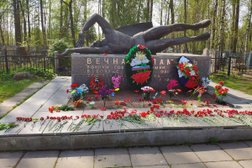 Ритуальная компания Ангел, с рейтингом  - находится по адресу Санкт-Петербург, Пушкинский район, Пушкин, Октябрьский бульвар, 8к1 