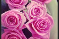 Управляющая компания Продукты Питания Комбинат, с рейтингом 4.3 - находится по адресу Калининград, улица Дзержинского, 244а 