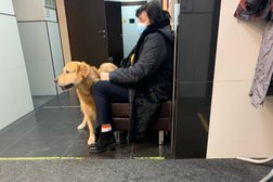 Ветеринарная клиника Айболит-Красногорск, с рейтингом 4.2 - находится по адресу Московская область, Красногорск, Строительная улица, 12 