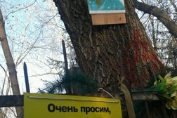 Комбинат специальных услуг Ново-Восточное кладбище, с рейтингом 1.5 - находится по адресу Омск, улица 10 лет Октября, 208а 